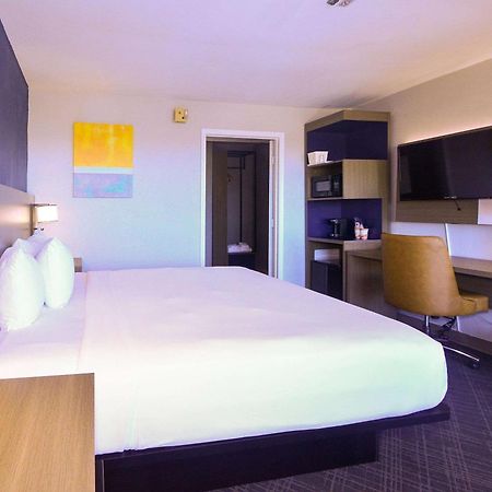 Comfort Inn Encinitas Near Legoland Dış mekan fotoğraf