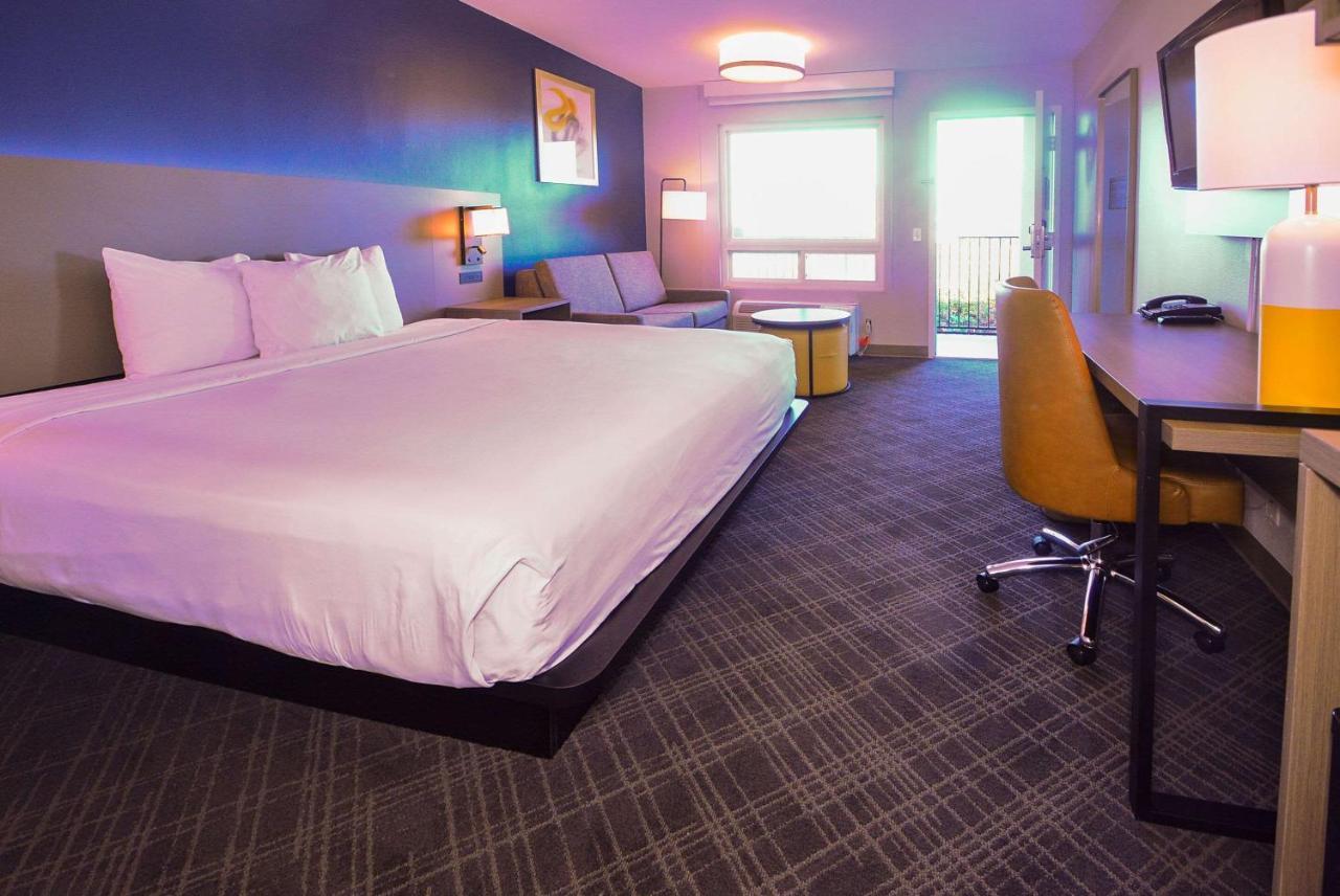 Comfort Inn Encinitas Near Legoland Dış mekan fotoğraf