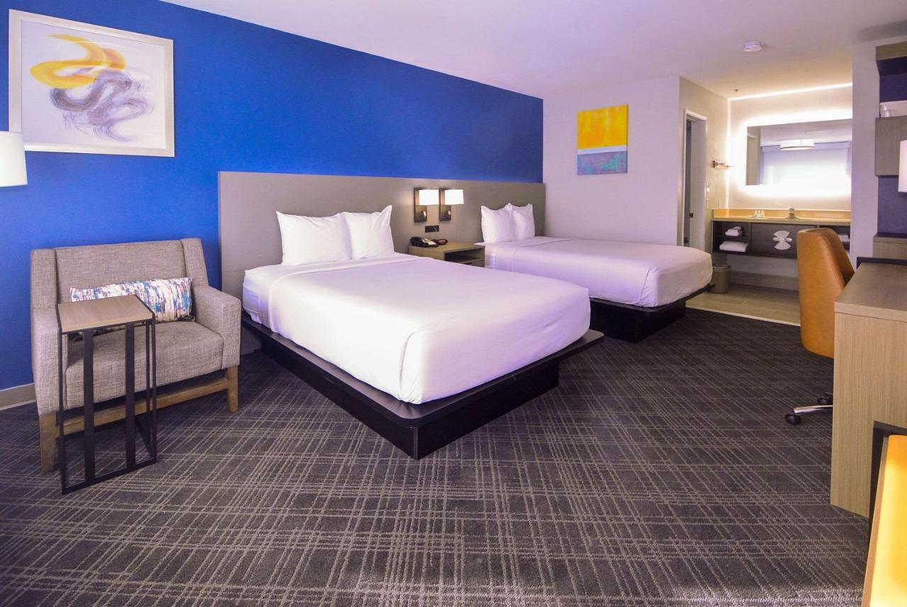 Comfort Inn Encinitas Near Legoland Dış mekan fotoğraf